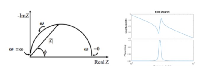 Niquest_Bode plots EIS analysis